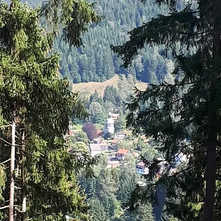 Huis Bergzicht * فيلديمان